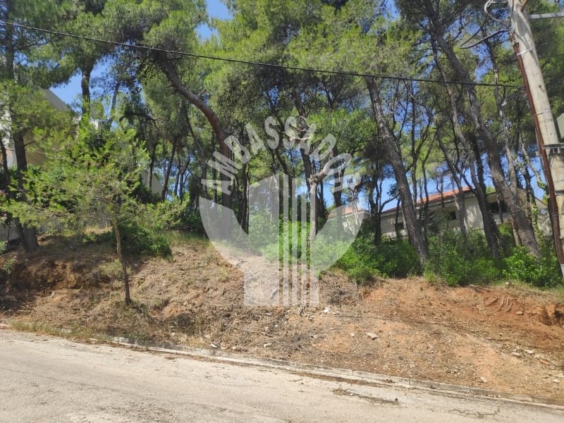 Οικόπεδο στην Αδάμες (Οικισμός Πελοποννησίων), Κηφισιά — Φωτογραφία 4 από 6