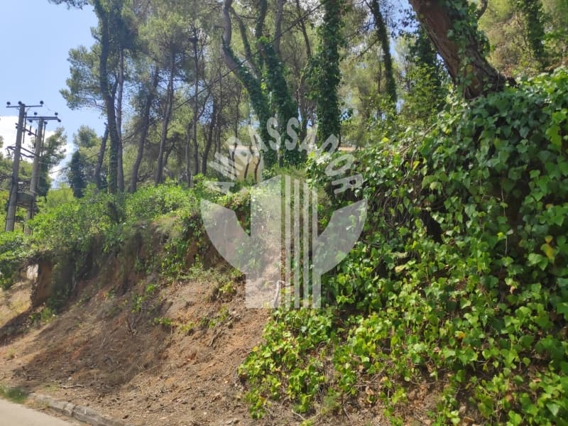 Οικόπεδο στην Αδάμες (Οικισμός Πελοποννησίων), Κηφισιά — Φωτογραφία 1 από 6