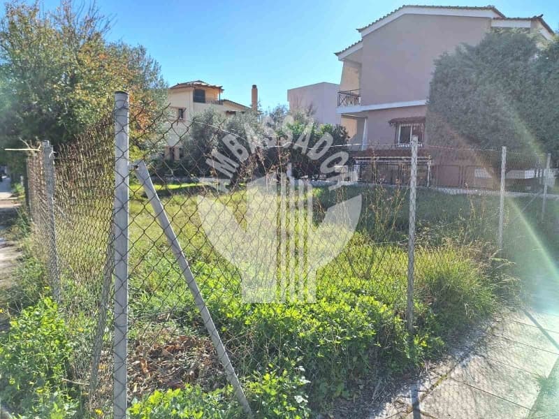Οικόπεδο στην Άνω Μπαλάνα, Παλλήνη — Φωτογραφία 1 από 3