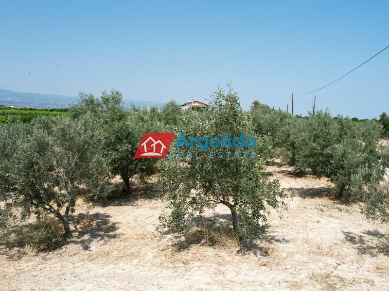 Μονοκατοικία στην Άσσος, Άσσος-Λεχαίο — Φωτογραφία 8 από 25