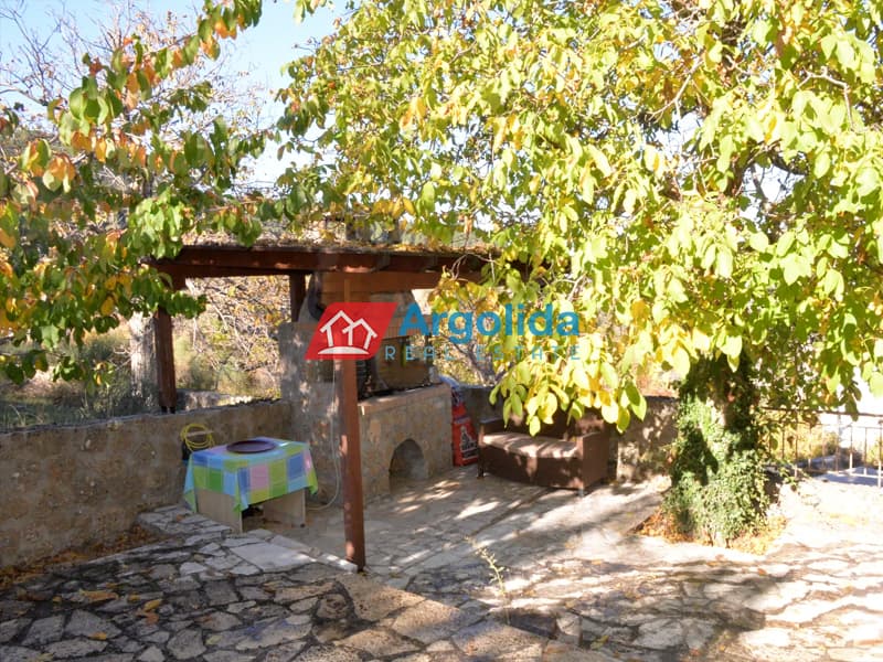 Μονοκατοικία στην Άνω Τρίκαλα, Ευρωστίνη — Φωτογραφία 22 από 26