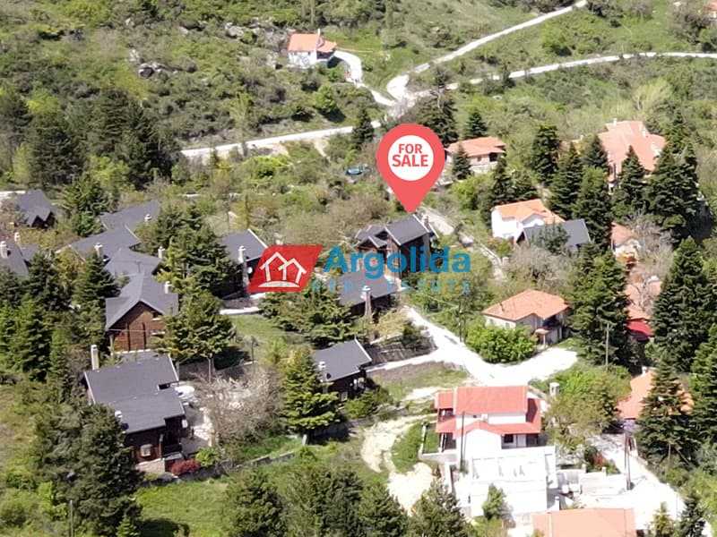 Μονοκατοικία στην Άνω Τρίκαλα, Ευρωστίνη — Φωτογραφία 4 από 26