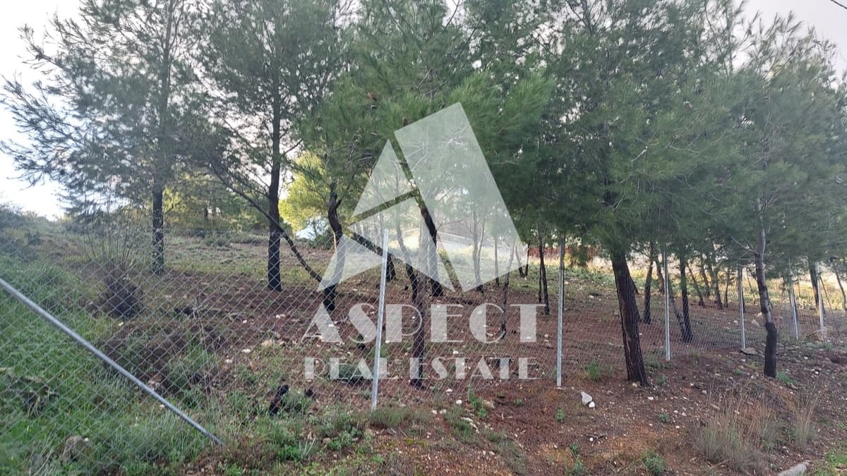 Building Plot in Kallithea, Penteli — Photo 1 of 12