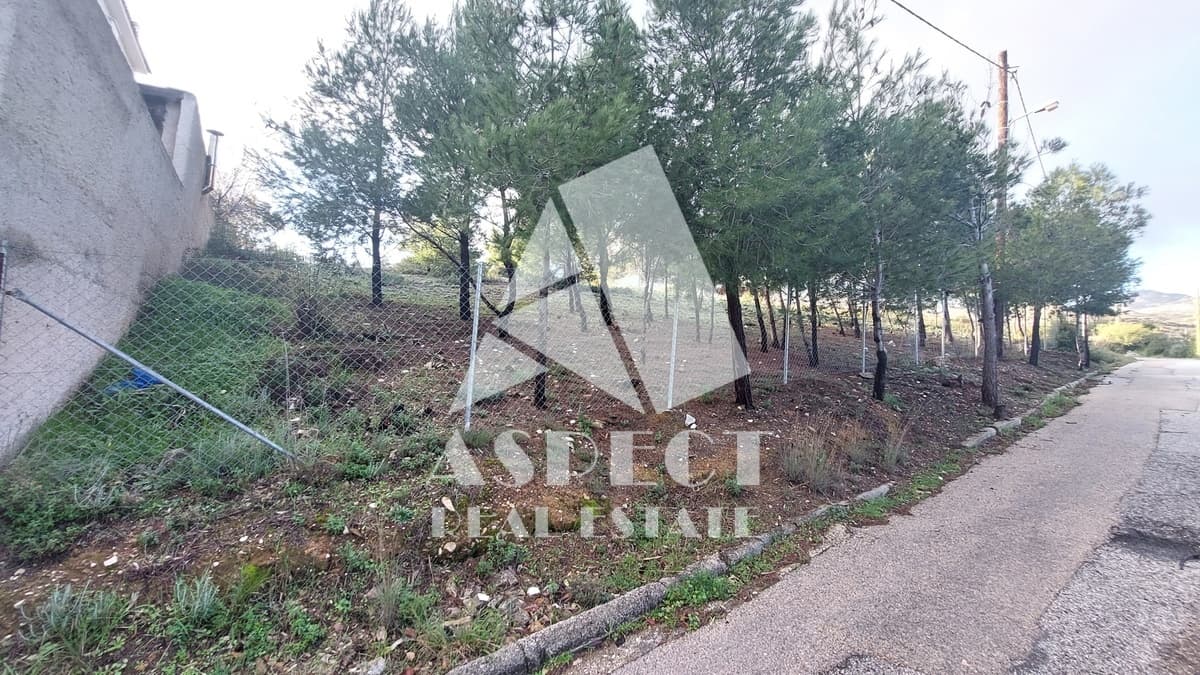 Building Plot in Kallithea, Penteli — Photo 5 of 12