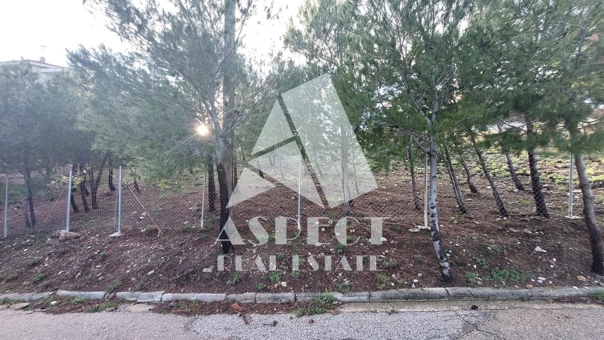 Building Plot in Kallithea, Penteli — Photo 8 of 12