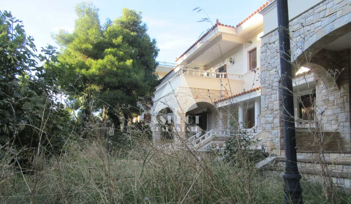 Μονοκατοικία στην Αναγέννηση, Δροσιά — Φωτογραφία 23 από 30