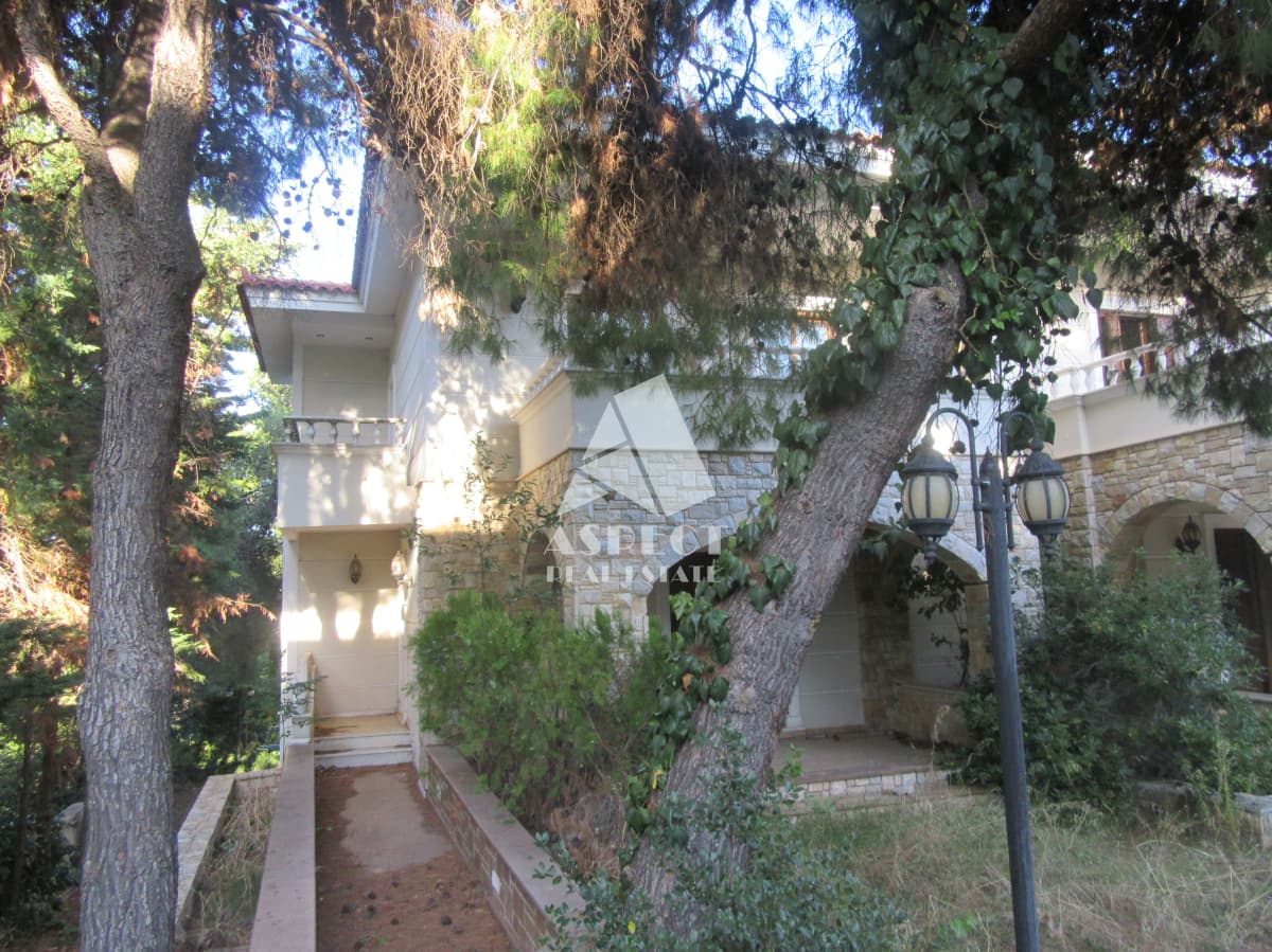 Μονοκατοικία στην Αναγέννηση, Δροσιά — Φωτογραφία 20 από 30