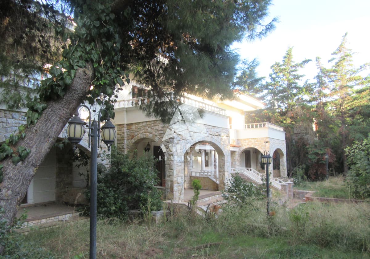 Μονοκατοικία στην Αναγέννηση, Δροσιά — Φωτογραφία 8 από 30