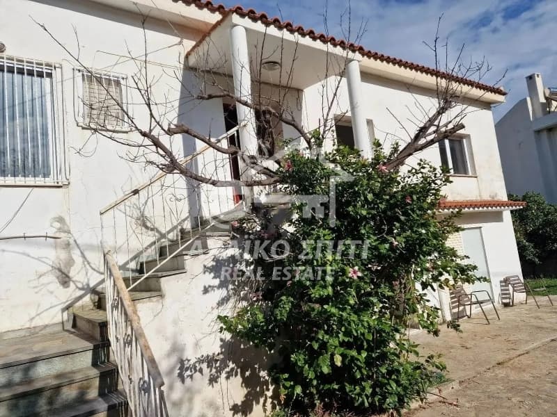 House in Agios Vasileios, Rio — Photo 1 of 21
