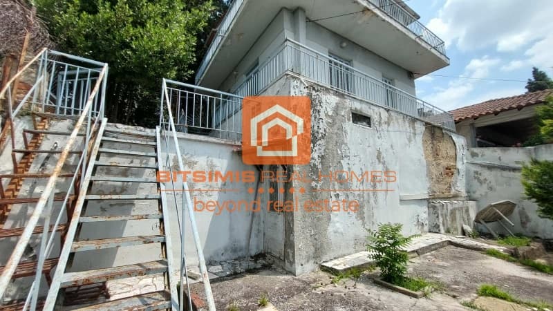 Μονοκατοικία στην Φίλυρο, Πεύκα — Φωτογραφία 4 από 19