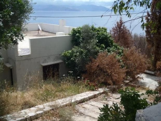 Μονοκατοικία στην Άγιος Παντελεήμονας, Νέα Μάκρη — Φωτογραφία 4 από 10