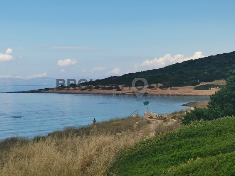 Building Plot in Chamolia, Vravrona — Photo 5 of 6
