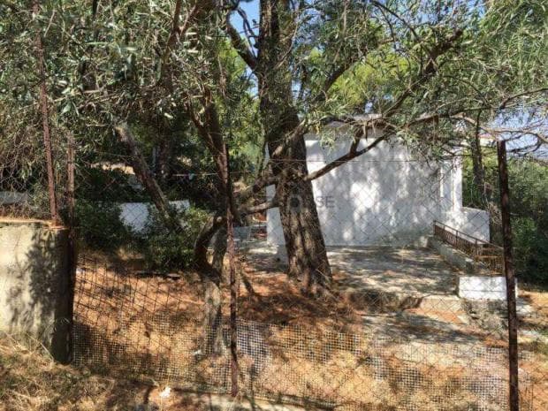 Building Plot in Center, Penteli — Photo 10 of 10