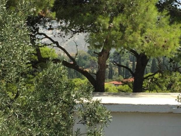 Building Plot in Center, Penteli — Photo 8 of 10