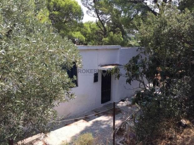 Building Plot in Center, Penteli — Photo 7 of 10