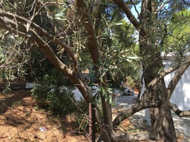 Building Plot in Center, Penteli — Photo 6 of 10