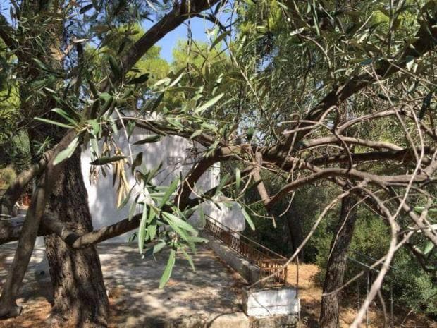 Building Plot in Center, Penteli — Photo 5 of 10