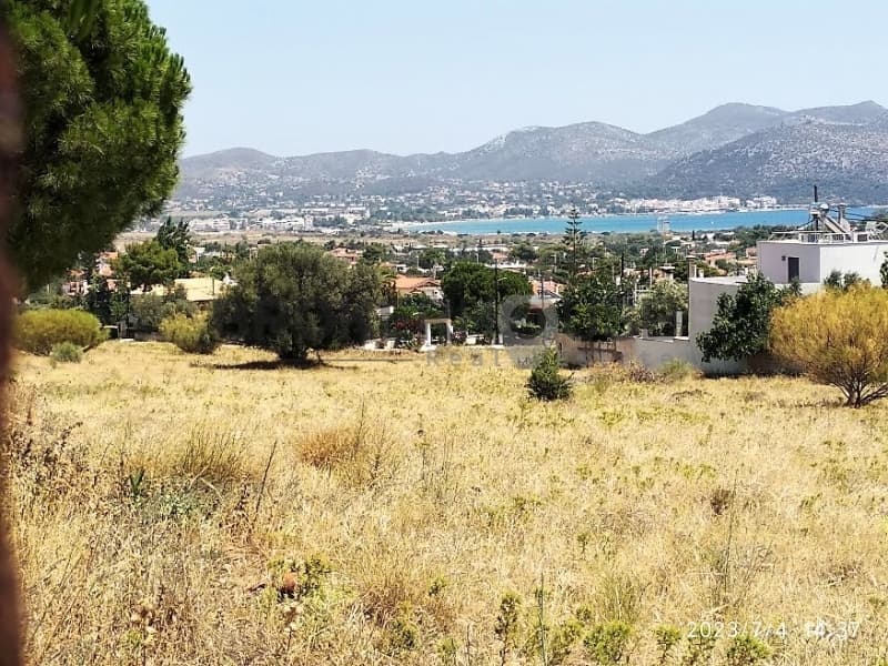Αγροτεμάχιο στην Μαύρο Λιθάρι, Σαρωνίδα — Φωτογραφία 6 από 8