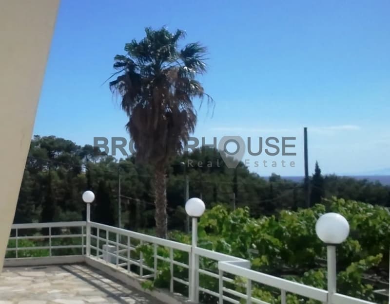 House in Elaionas, Anavissos — Photo 7 of 31