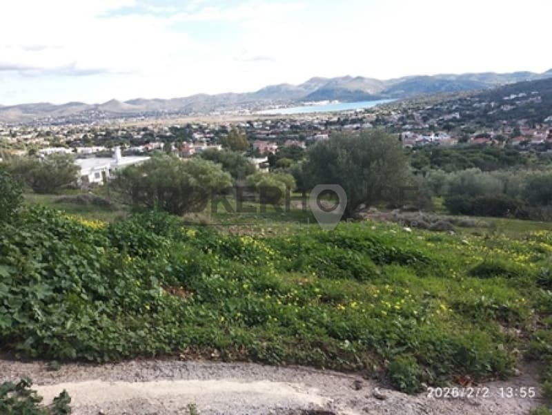 Αγροτεμάχιο στην Μαύρο Λιθάρι, Σαρωνίδα — Φωτογραφία 1 από 2