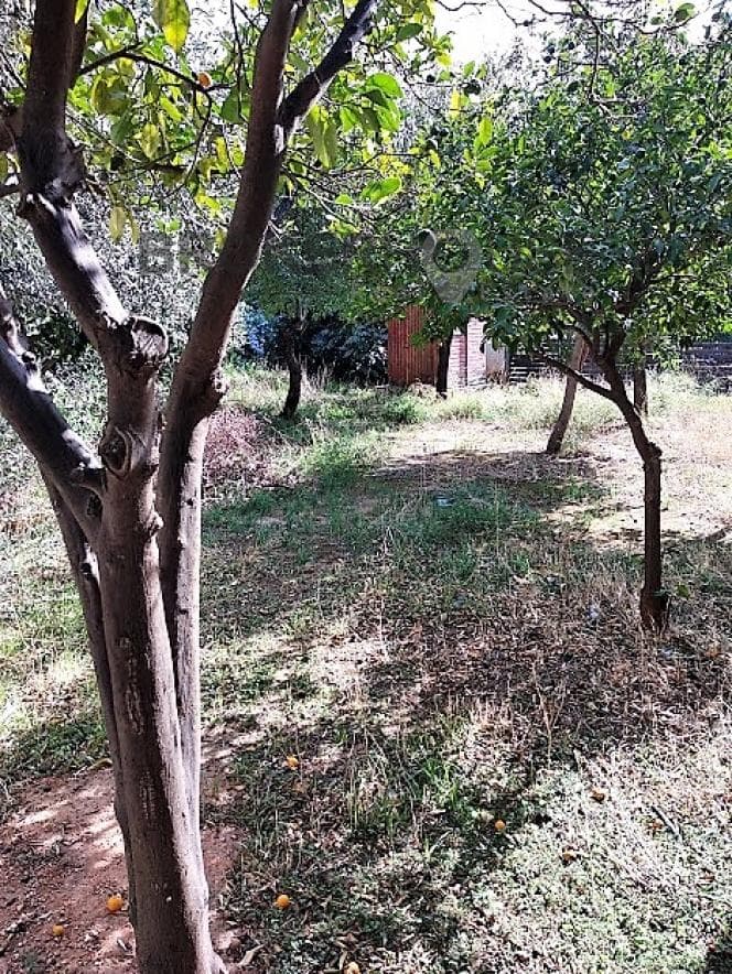 House in Saronida, Saronida — Photo 5 of 12