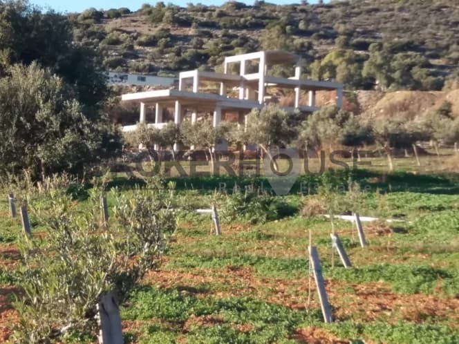 Οικόπεδο στην Αμπελώνας, Καλύβια Θορικού — Φωτογραφία 1 από 9