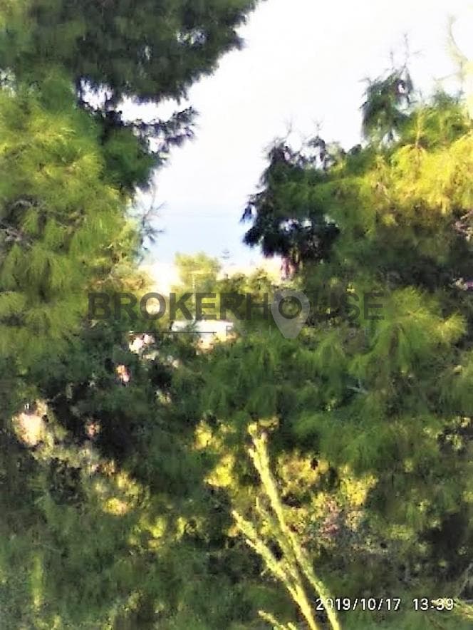 Apartment in Saronida, Saronida — Photo 11 of 13
