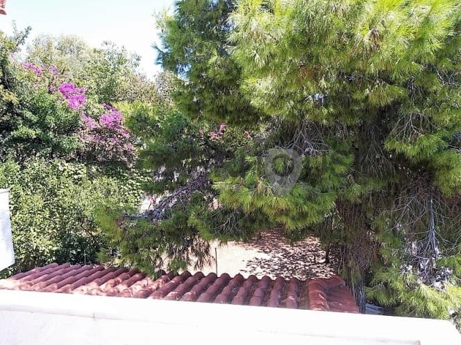 Μονοκατοικία στην Αλυκές - Λάκκα, Ανάβυσσος — Φωτογραφία 14 από 20