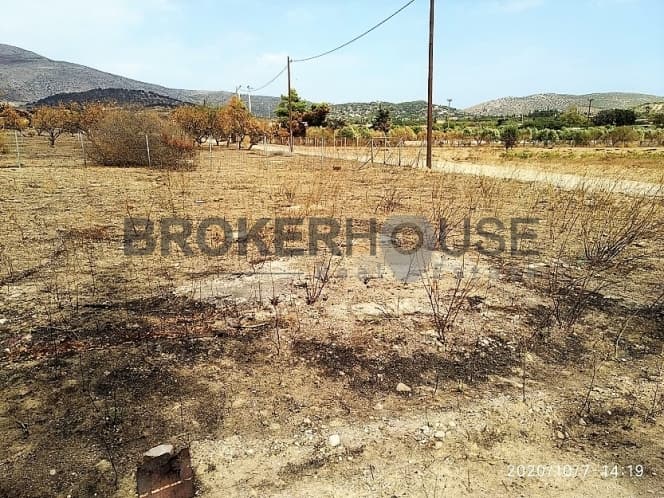 Αγροτεμάχιο στην Καλύβια, Καλύβια Θορικού — Φωτογραφία 5 από 6