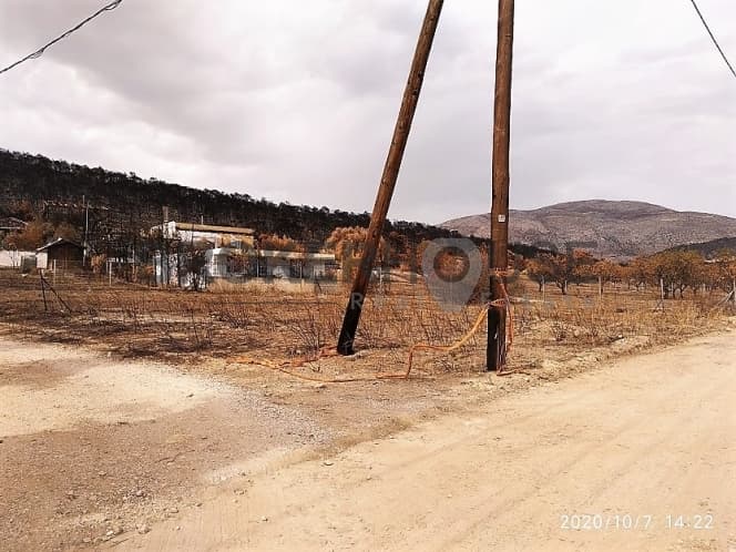 Αγροτεμάχιο στην Καλύβια, Καλύβια Θορικού — Φωτογραφία 3 από 6