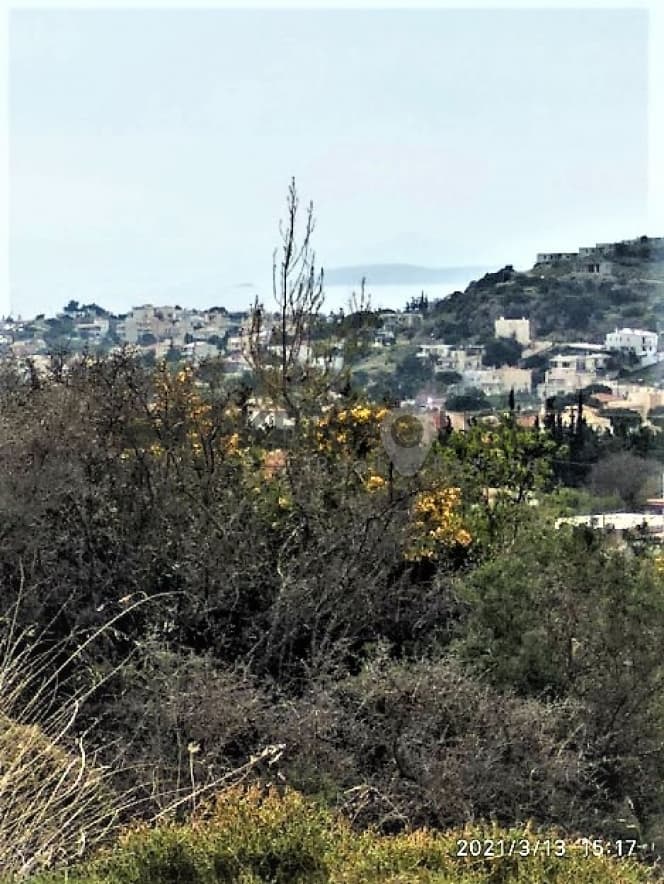 Αγροτεμάχιο στην Καλύβια, Καλύβια Θορικού — Φωτογραφία 5 από 6