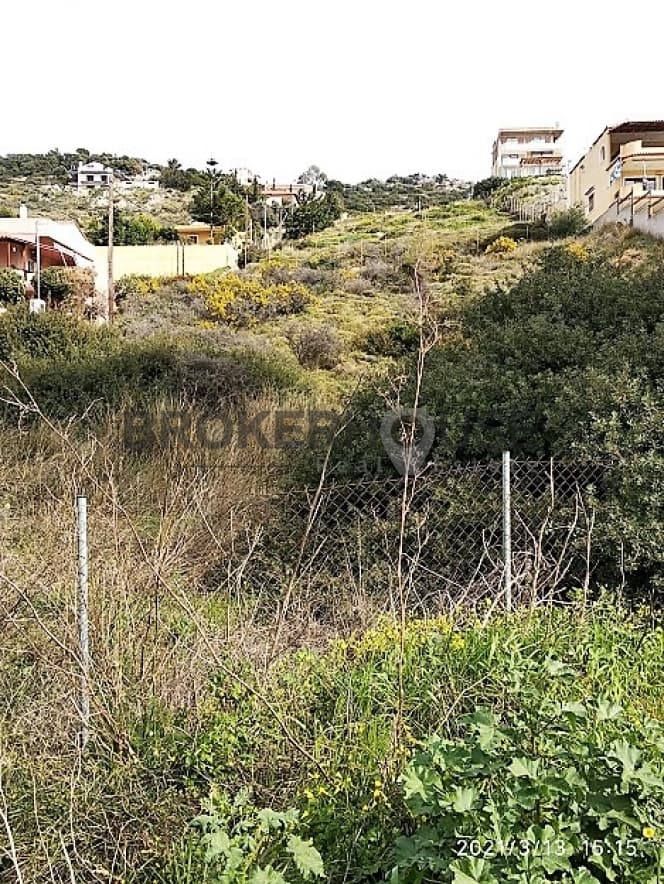 Αγροτεμάχιο στην Καλύβια, Καλύβια Θορικού — Φωτογραφία 6 από 6
