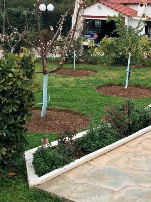 House in Κέντρο, Kalivia Thorikou — Photo 5 of 11
