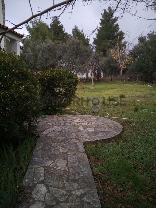 Μονοκατοικία στην Αδάμες (Οικισμός Πελοποννησίων), Κηφισιά — Φωτογραφία 21 από 21