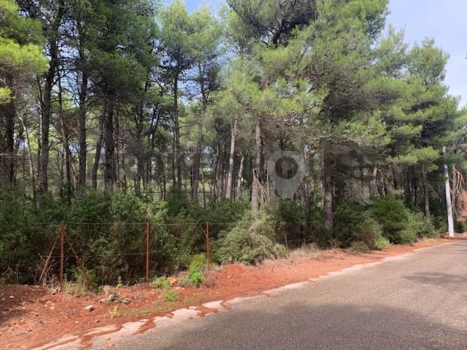 Building Plot in Agia Triada, Afidnes — Photo 4 of 6