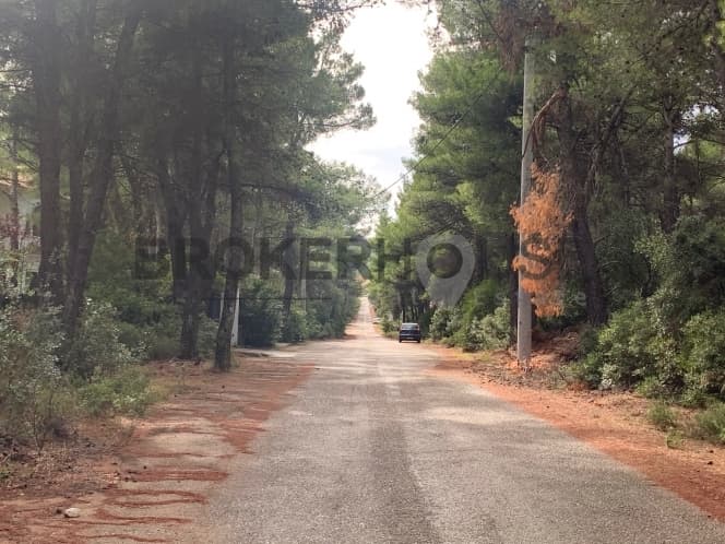 Building Plot in Agia Triada, Afidnes — Photo 5 of 6