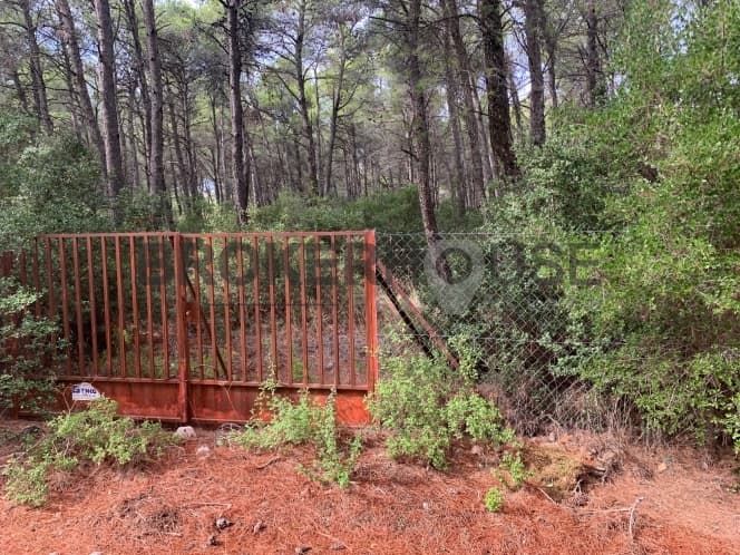 Building Plot in Agia Triada, Afidnes — Photo 1 of 6