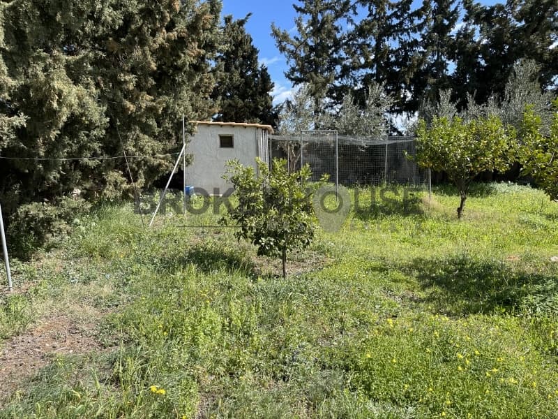 Μονοκατοικία στην Καλύβια, Καλύβια Θορικού — Φωτογραφία 24 από 31