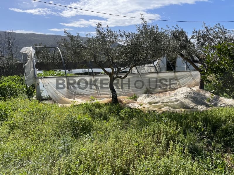 Μονοκατοικία στην Καλύβια, Καλύβια Θορικού — Φωτογραφία 26 από 31