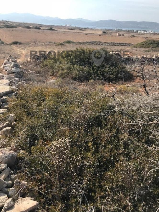 Αγροτεμάχιο στην Γλυσίδια, Πάρος — Φωτογραφία 7 από 11