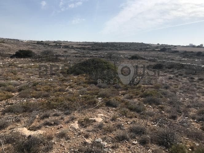 Αγροτεμάχιο στην Γλυσίδια, Πάρος — Φωτογραφία 8 από 11