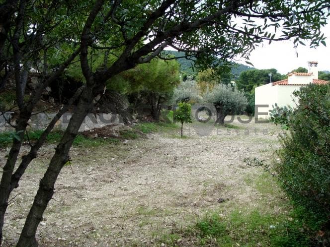 Οικόπεδο στην Κυψέλη, Αίγινα — Φωτογραφία 1 από 6