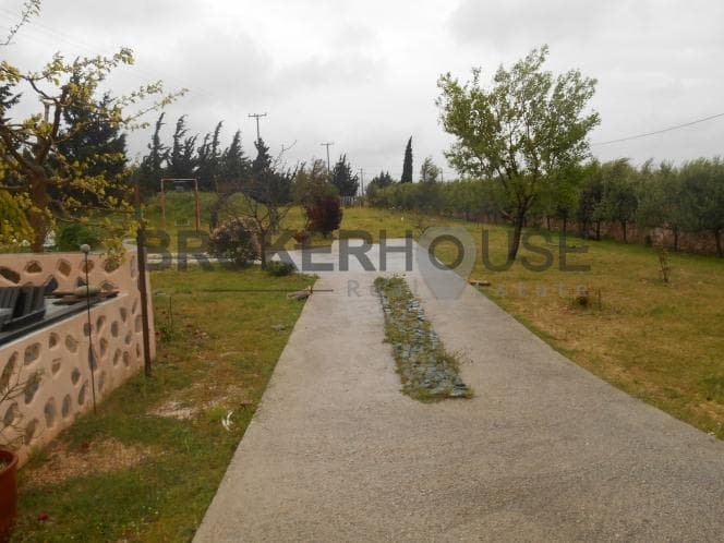 House in Kalivia, Kalivia Thorikou — Photo 11 of 19
