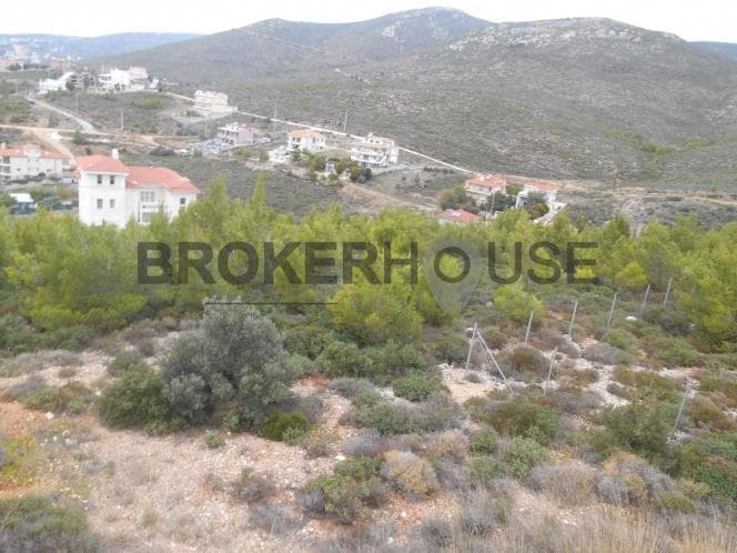 Οικόπεδο στην Δασαμάρι, Πικέρμι — Φωτογραφία 3 από 9