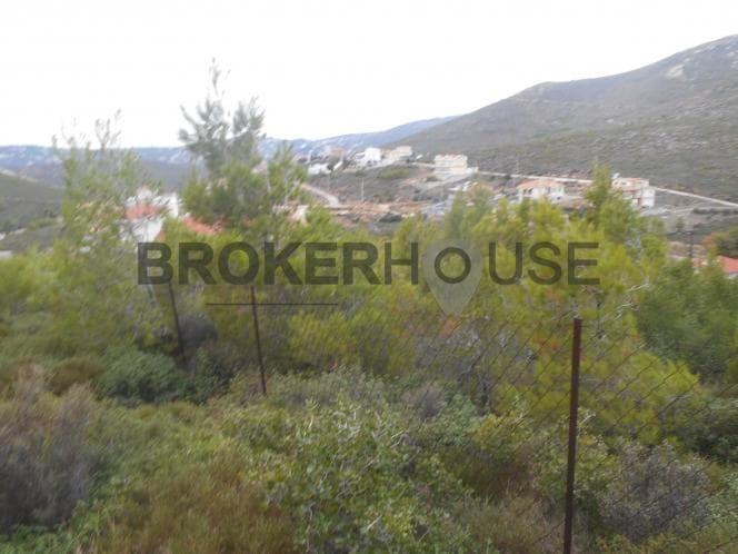 Οικόπεδο στην Δασαμάρι, Πικέρμι — Φωτογραφία 6 από 9