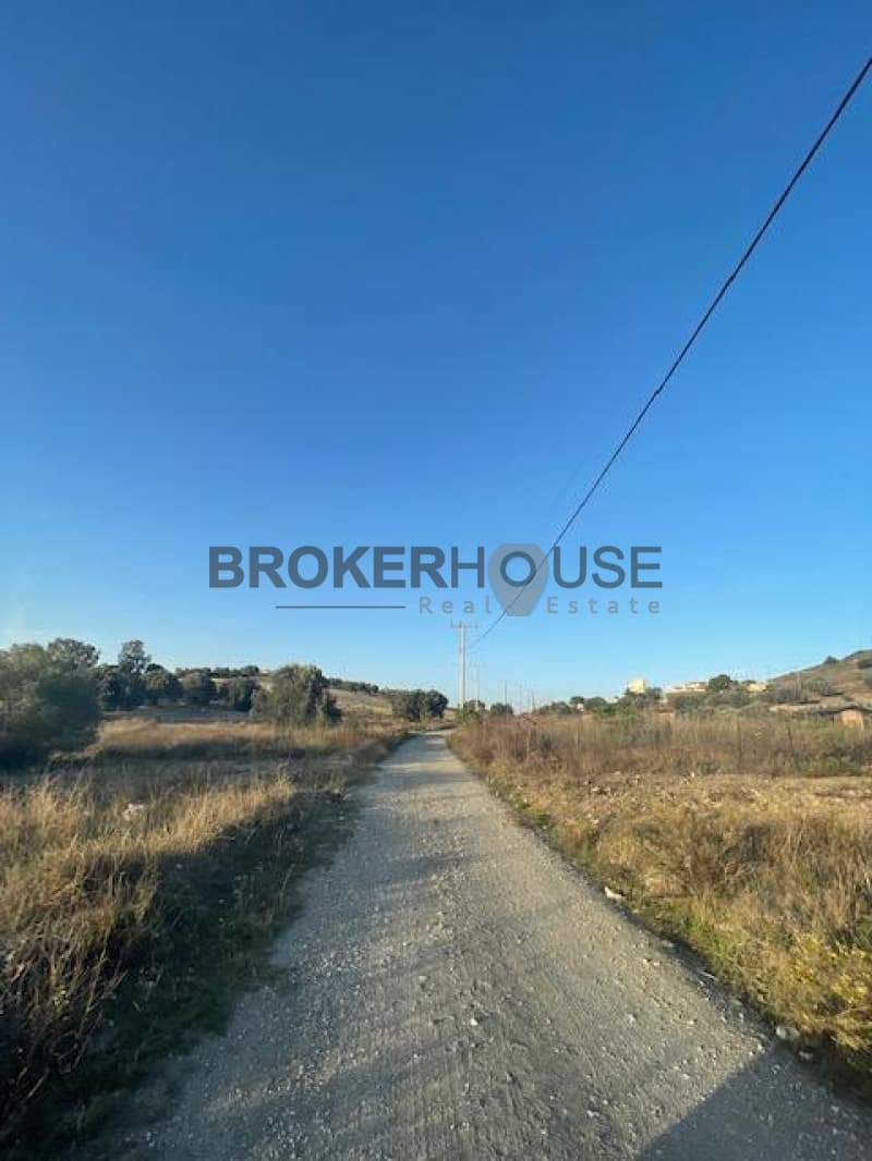 Parcel in Dimolaki, Anavissos — Photo 6 of 16