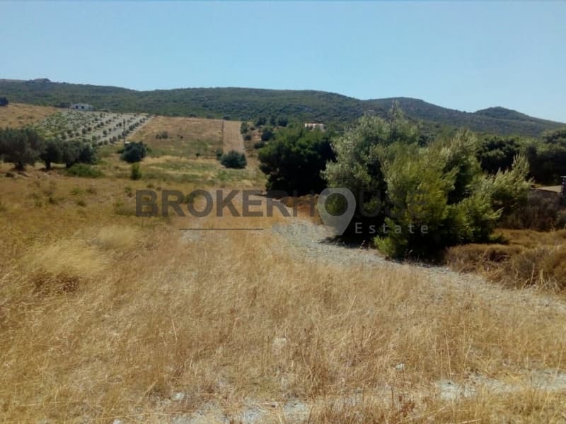 Parcel in Dimolaki, Anavissos — Photo 7 of 16