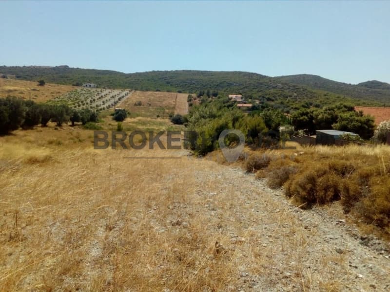 Parcel in Dimolaki, Anavissos — Photo 9 of 16