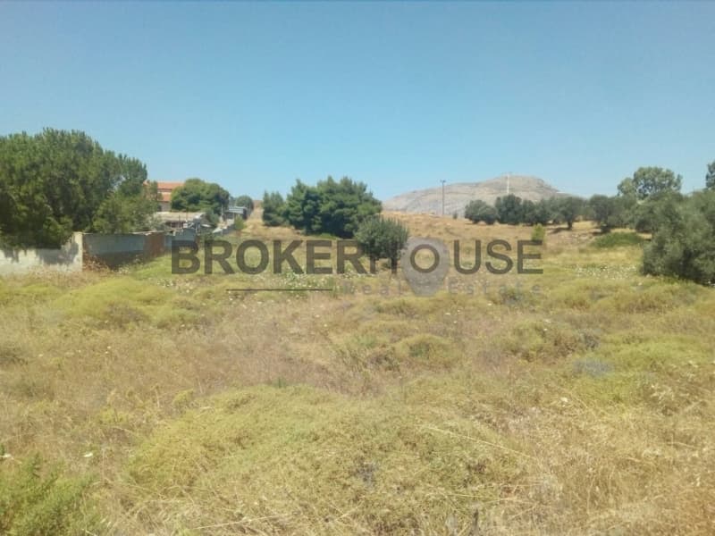 Parcel in Dimolaki, Anavissos — Photo 10 of 16