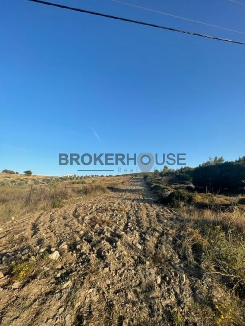 Parcel in Dimolaki, Anavissos — Photo 5 of 16